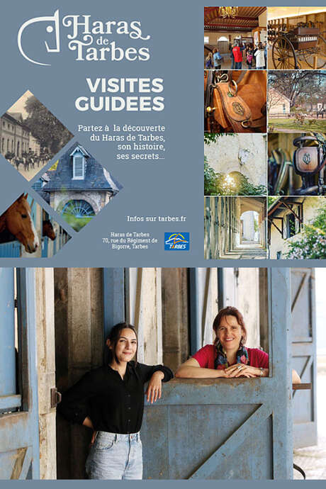 Visites guidées du Haras de Tarbes