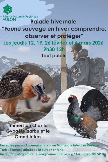 Balade hivernale "Faune sauvage en hiver" focus Gypaète barbu et Grand tétras