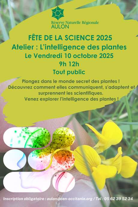 Fête de la Science, atelier : l'intelligence des plantes