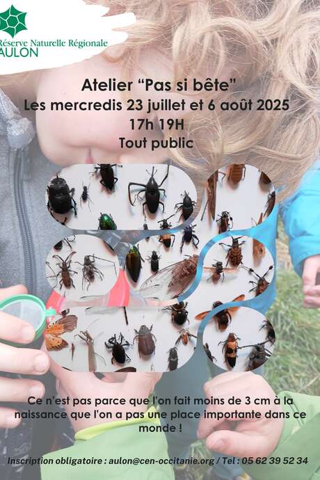 Atelier "Pas si bête! (insectes) "