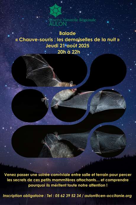 Balade « Chauve-souris : les demoiselles de la nuit »