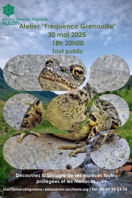 Atelier "FREQUENCE GRENOUILLE"