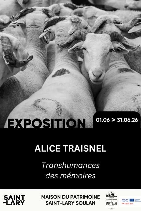 Exposition d'Alice Traisnel