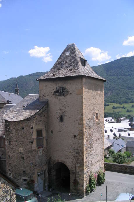 Visite guidée d'Ancizan