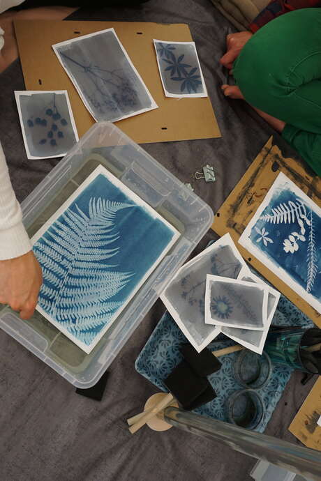 Atelier cyanotype