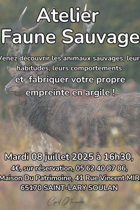 Atelier faune sauvage