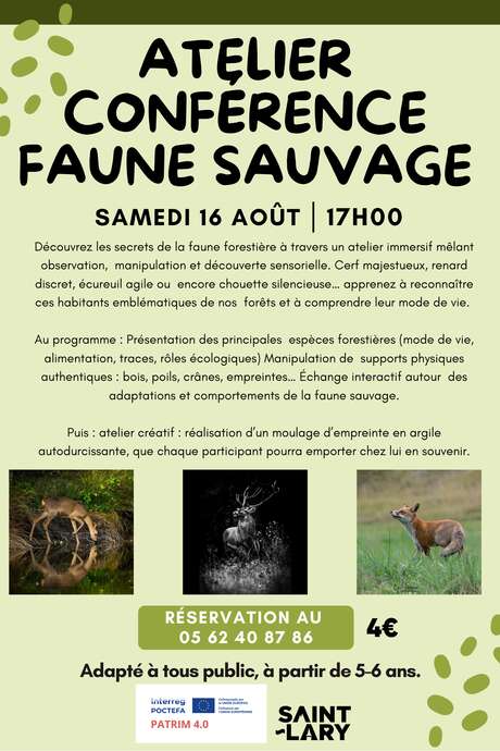 Atelier faune sauvage
