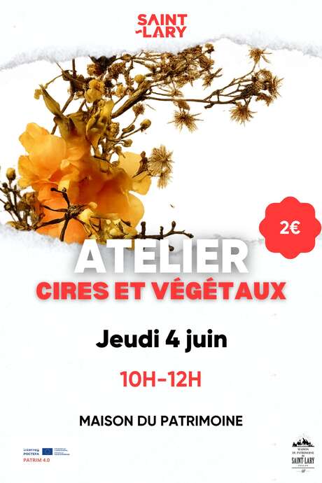 Atelier "Cires et végétaux"