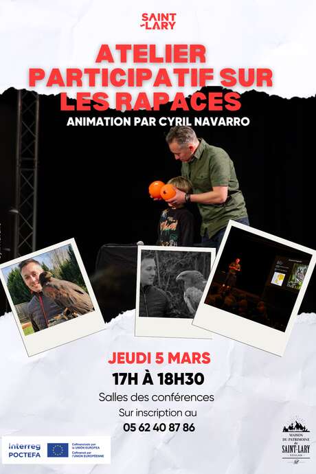Atelier participatif sur les rapaces Cyril Navarro