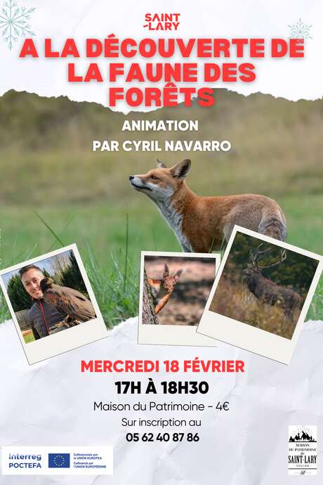 Conférence sur la faune sauvage par Cyril Navarro