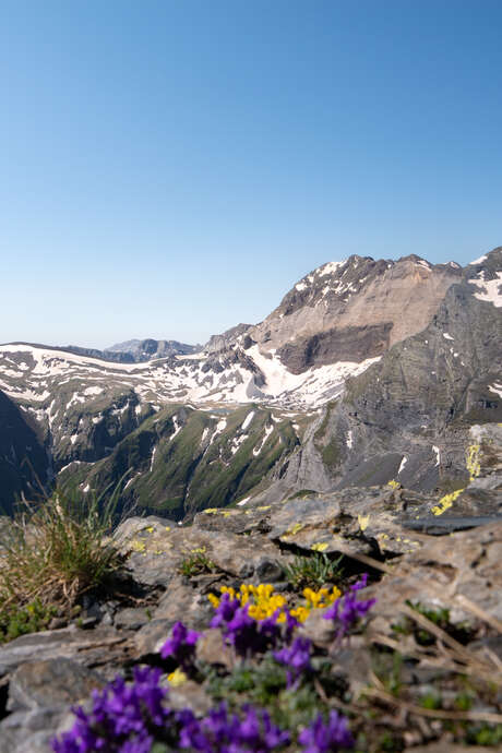 Soirée diaporama-conférence La Montagne aux 4 saisons