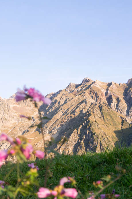 Soirée diaporama-conférence La Montagne aux 4 saisons