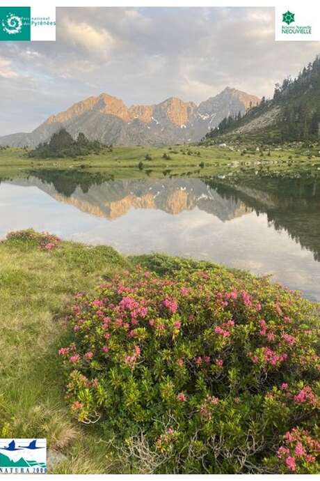 CONFERENCE SUR LES MILIEUX AQUATIQUES DE LA RESERVE NATURELLE DU NEOUVIELLE