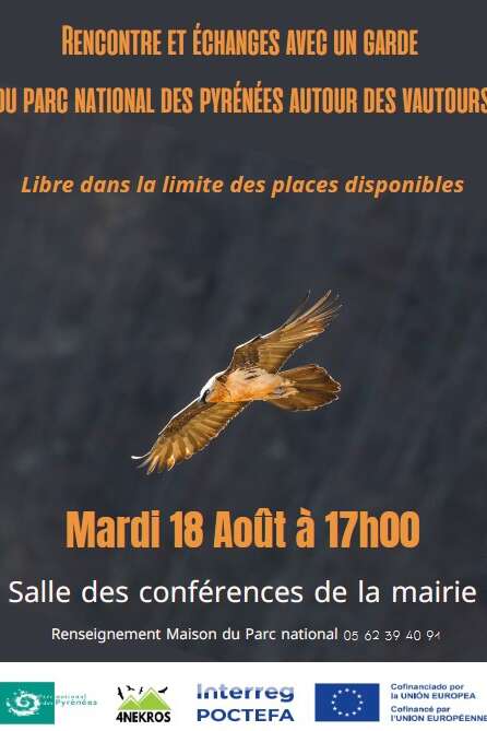 CONFERENCE AUTOUR DES VAUTOURS