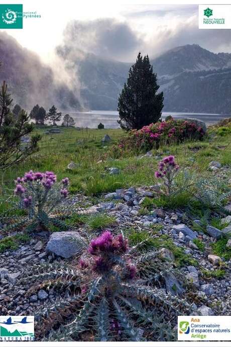 CONFERENCE SUR LES CONSEQUENCES DU CHANGEMENT CLIMATIQUE SUR LA RESERVE NATURELLE DU NEOUVIELLE