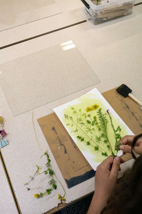 Atelier cyanotype