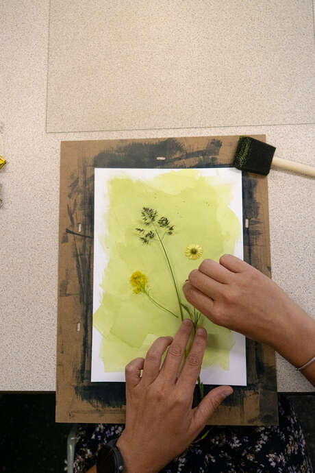 Atelier cyanotype