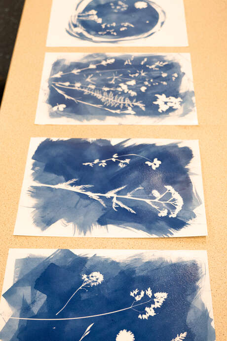 Atelier cyanotype