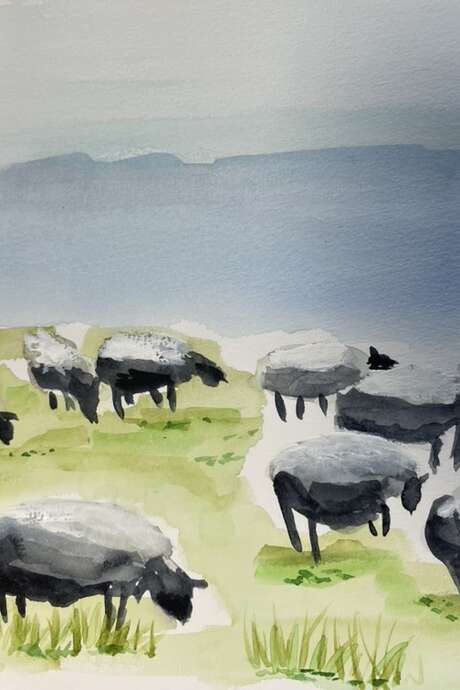 Atelier aquarelle " agropastoralisme"