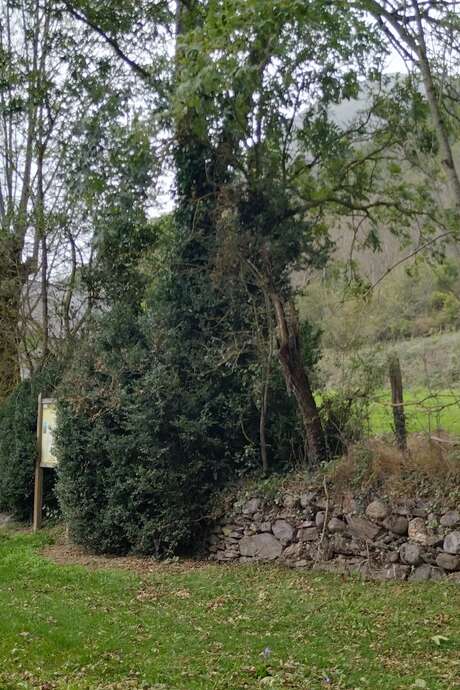 Randonnée culturelle au départ de Vielle-Aure, vers les ardoisières et la chapelle d'Agos