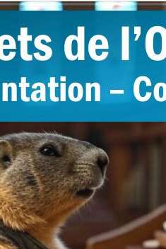 Secrets de l'Orgue