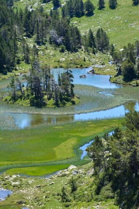 Sortie - Lacs et Tourbières de la Réserve Naturelle du Néouvielle
