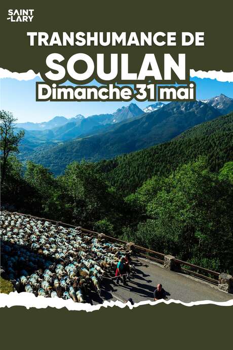 Transhumance de Soulan