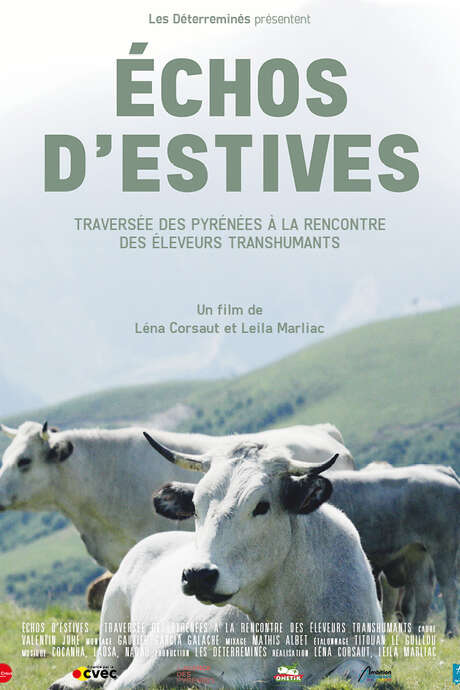 [PROJECTION] Echos d'Estives : traversée des Pyrénées à la rencontre des éleveurs transhumants