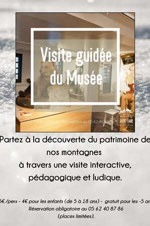 Visite guidée du musée