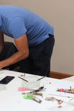 Atelier enfants "Magnolia for ever"