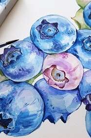 Initiation aquarelle