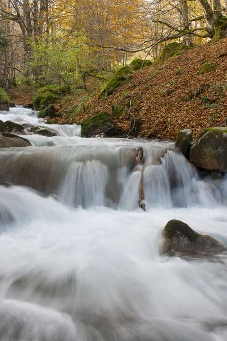 Conférence sur les milieux aquatiques et cours d'eau