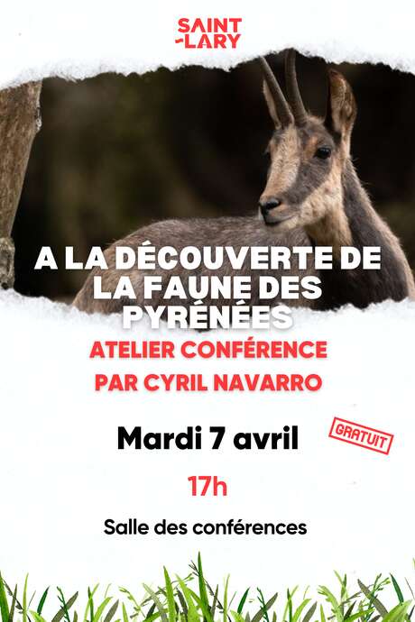 Conférence sur la faune des Pyrénées par Cyril Navarro