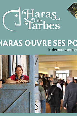 Portes ouvertes du Haras
