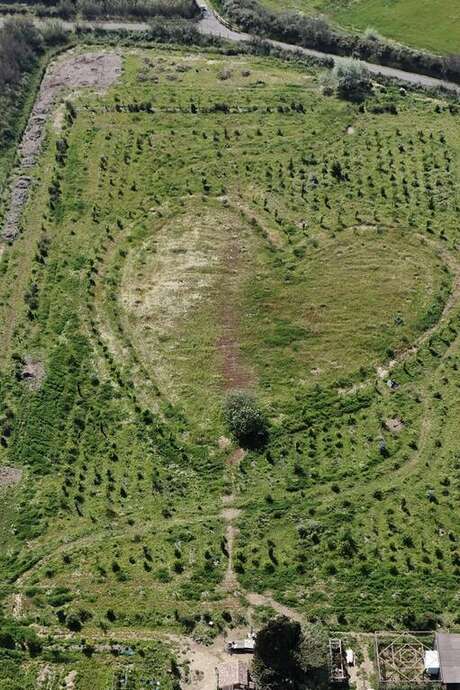 ATELIER ARTISTIQUE LES ARBRES DE LAËTITIA GRÜN