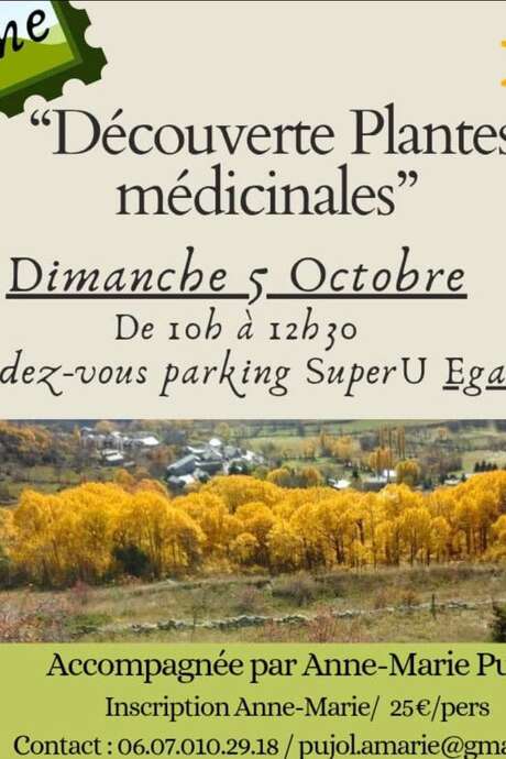 DÉCOUVERTE PLANTES MÉDICINALES