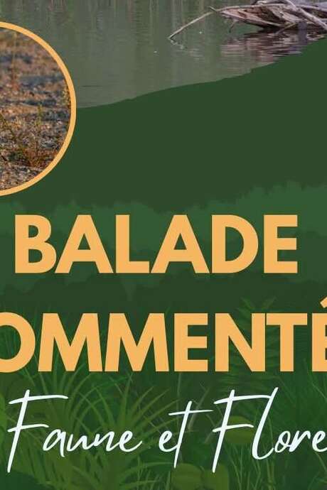 BALADE COMMENTÉE, FAUNE ET FLORE