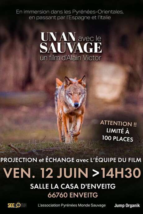 FILM "1 AN AVEC LE SAUVAGE" D'ALAIN VICTOR