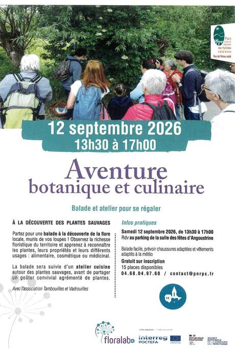 AVENTURE BOTANIQUE ET CULINAIRE - ANGOUSTRINE