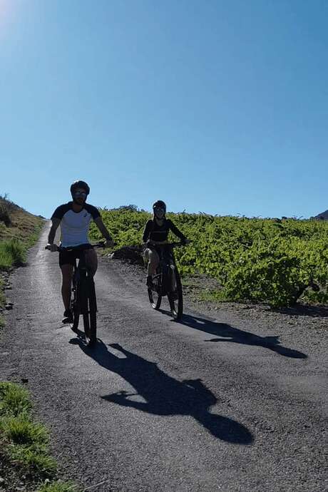RANDONNÉE EN VTT ÉLECTRIQUE SUR LES HAUTEURS DE COLLIOURE