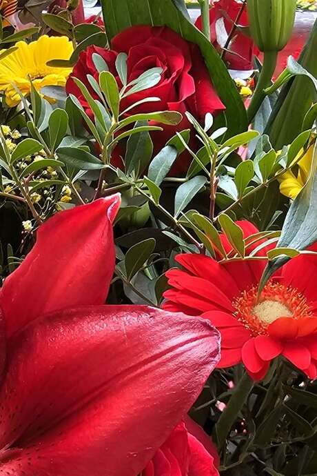 LA SANT JORDI AU MUSÉE