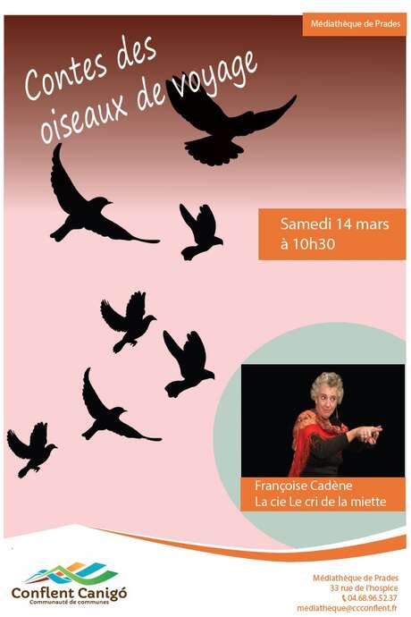 LES CONTES DES OISEAUX DE PASSAGE