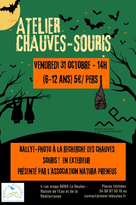 ATELIER CHAUVES SOURIS 6-12 ANS