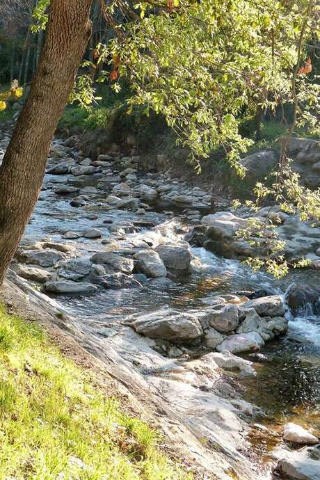 BALADE NATURE ET PATRIMOINE "LA FORGE MURMURE"