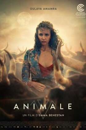 CINÉMA OSSÉJA - ANIMALE