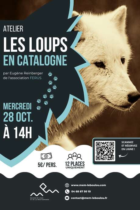 ATELIER SUR LES TRACES DES LOUPS