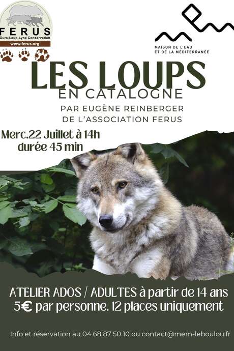 ATELIER LES LOUPS EN CATALOGNE