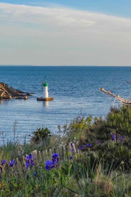 VISITE GUIDEE "PORT-VENDRES ET LES BATEAUX DE LEGENDE"