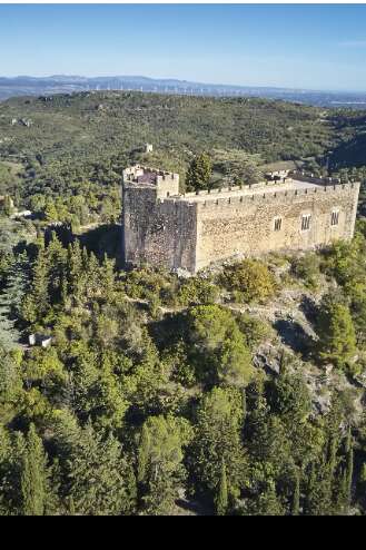 CHÂTEAU DE CASTELNOU