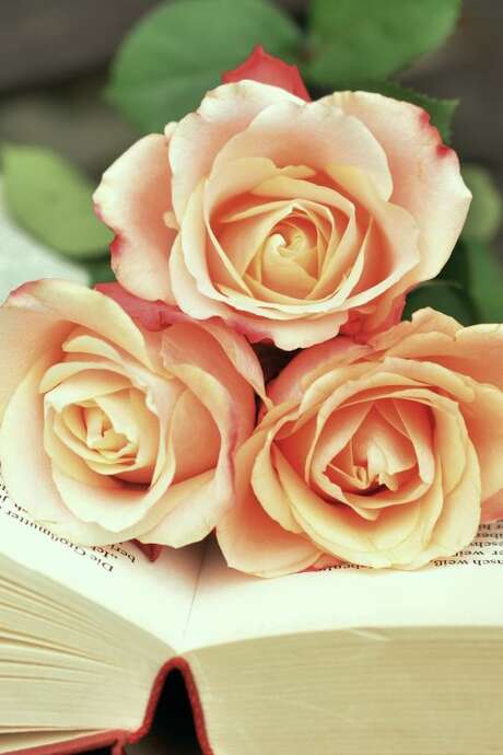 SANT JORDI - L’ITINÉRAIRE DU LIVRE